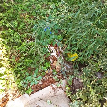 Afytos Park Ören 'de Kötü Bir Deneyim Yaşadık