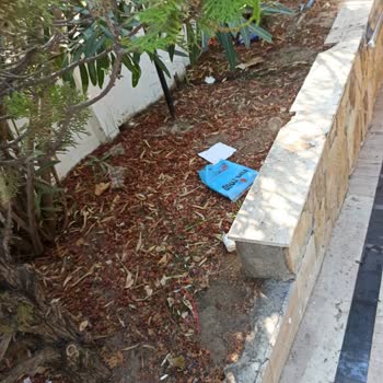 Afytos Park Ören 'de Kötü Bir Deneyim Yaşadık