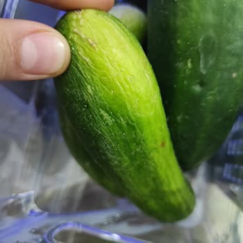 Beko Buzdolabı Sebzeleri Bozuyor