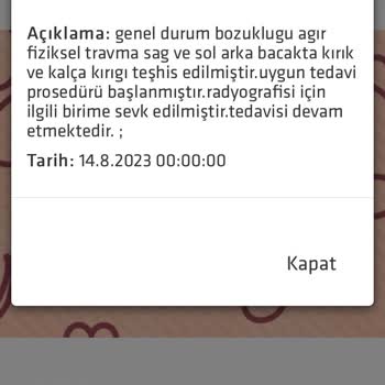 Yuva Arayan Patiler İyileşsin Diye Gönderdim