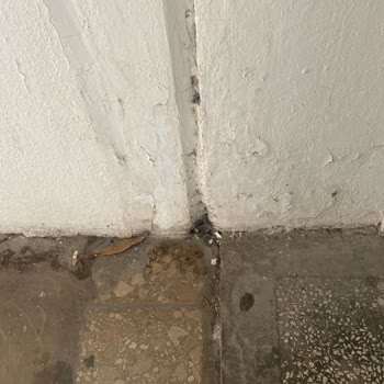 Ege Üniversitesi Hastanesi Beyin Ve Sinir Hastalıkları Binası Hasta İçin Risk Teşkil Etmektedir.