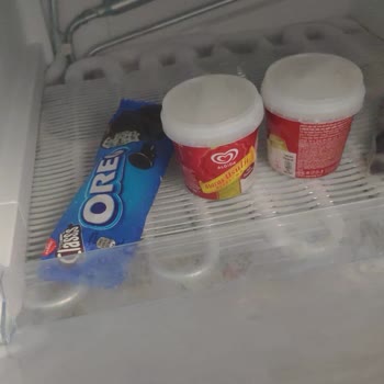 Domino's Pizza'nın İçinden Saç Çıktı!