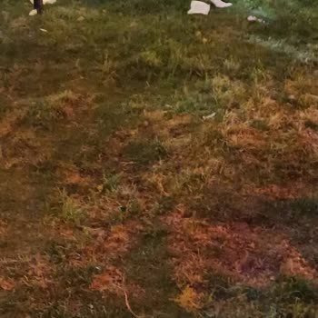 Bizim Bahçe Kır Düğünü Çok Kötü Bir Organizasyon Yöneticisi Var