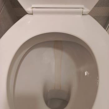 Rio Budva 3 Yıldız Ama Öğrenci Yurdu