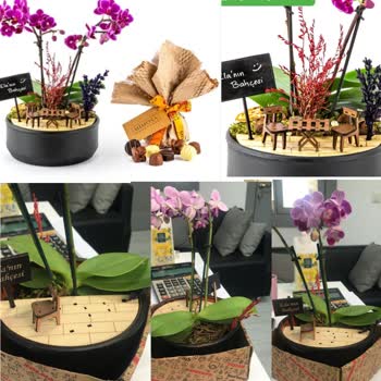 ÇiçekSepeti Kusurlu Ürün, Müşteri Yetersizliği, Marka İşlevini Yerine Getiremiyor