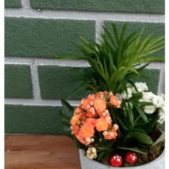 ÇiçekSepeti Görünen Ürünle Gelen Ürün Aynı Değil.