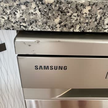 Samsung Bulaşık Makinesi Renk Soyulması