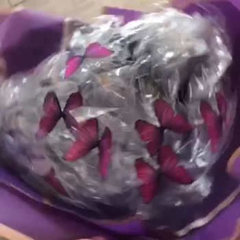 MNG Kargo Kargocu Hataları, Mağduriyeti