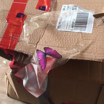 MNG Kargo Kargocu Hataları, Mağduriyeti