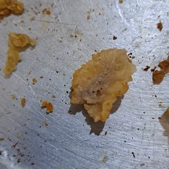 Erpiliç Çıtır Tavuk Bozuk Çıktı