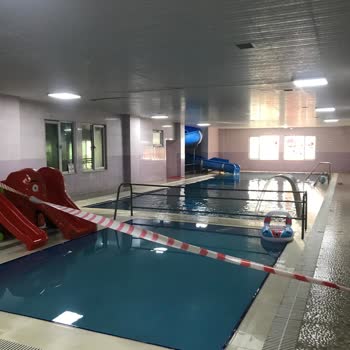 Armina Termal Otel Havuz Hastalığı Bakteri