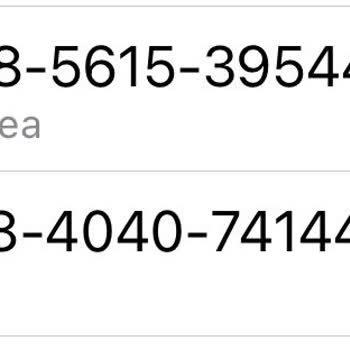 WhatsApp Üzerinden Freelance İş Teklifi Yanıltması