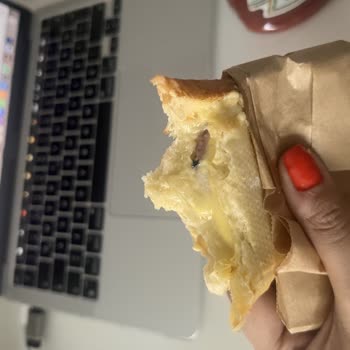 Getir Yemek Siparişimden Böcek Çıktı Konuyla Kimse İlgilenmiyor!