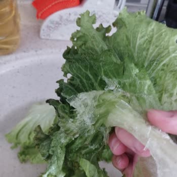 Regal Buzdolabımın Soğutmaması Ve Yiyeceklerimi Çürütmesi