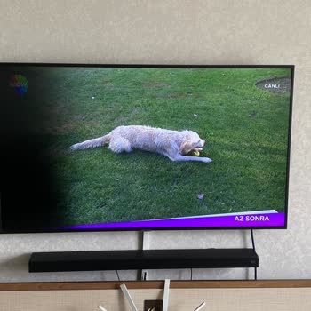 Samsung EU55RU7100 4K UHD LED Arızası