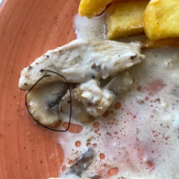 Tepe Restaurant (Ordu) Yemeğimden Kıl Çıktı