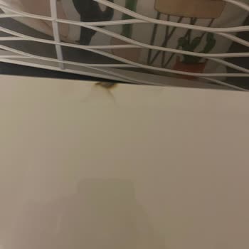 Ekolojik Arçelik 18325 Klima Arızası