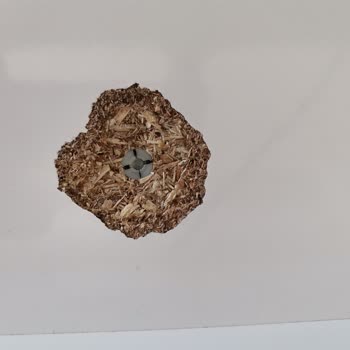 Modalife TV Ünitesi Ve Koltuk Pişman Lığı