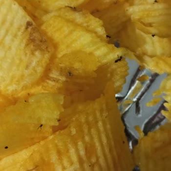 Ruffles Cipsimin İçinden Karınca Çıkması