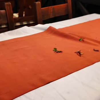 Onur Motel Faralya Kötü Hizmet