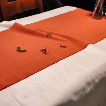 Onur Motel Faralya Kötü Hizmet