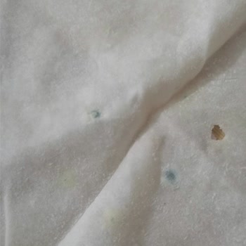 İlgisiz Migros Küflü Yufka