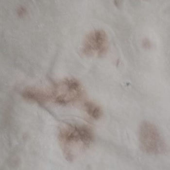 İlgisiz Migros Küflü Yufka