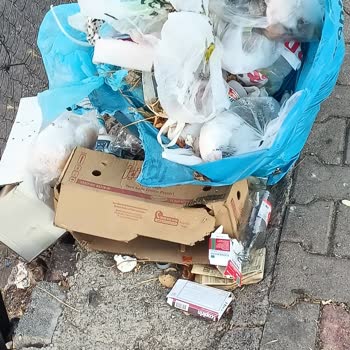 ABB - Ankara Büyükşehir Belediyesi Mamak Otobüs Durağındaki Pislik Sorunu