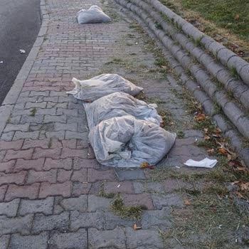 İbb Nin Yola Saçtığı Çöpler