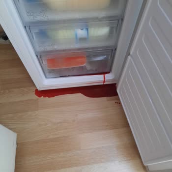 Arçelik Derin Dondurucu Arızası