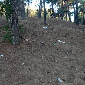 Bakırköy Prof. Dr. Mazhar Osman Ruh Sağlığı Ve Sinir Hastalıkları Eğitim Ve Araştırma Hastanesi Hk