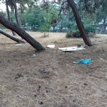 Bakırköy Prof. Dr. Mazhar Osman Ruh Sağlığı Ve Sinir Hastalıkları Eğitim Ve Araştırma Hastanesi Hk