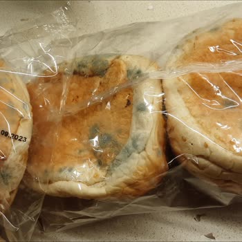 Ekmek Dünyası Ekmek SKT Den Önce Paketinde Küflendi