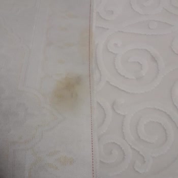 Soylu Halı Yıkama Soylu Halı Memnuniyetsizlik