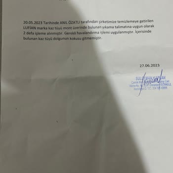 Lufian Kaz Tüyü Mont Koku Problemi