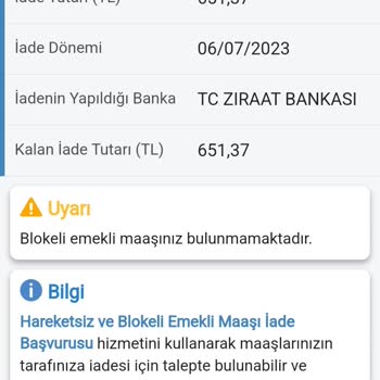 E-Devlet (Turkiye.gov.tr) Hareketsiz Bloke Ve Emekli Maaş Sorgulama!
