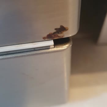 Bosch Bulaşık Makinesi Kapağındaki Paslanma