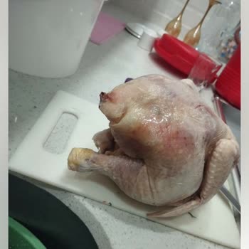 Hastavuk Kokmuş Bozulmuş Tavuk