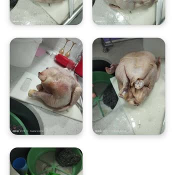 Hastavuk Kokmuş Bozulmuş Tavuk