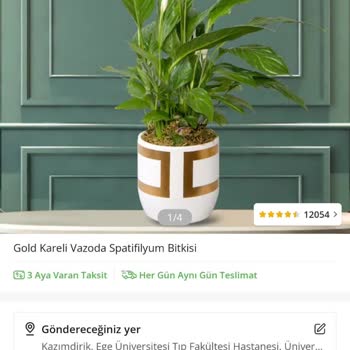 Çiçek Sepeti Kusurlu Ürün Ve Yorumlar