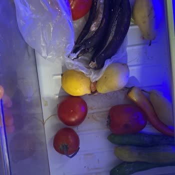 Beko Buzdolabı Yeterli Soğutmuyor
