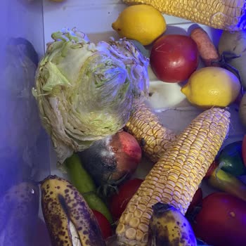 Beko Buzdolabı Yeterli Soğutmuyor