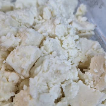 BİM Peynir Bozulması Şikayeti