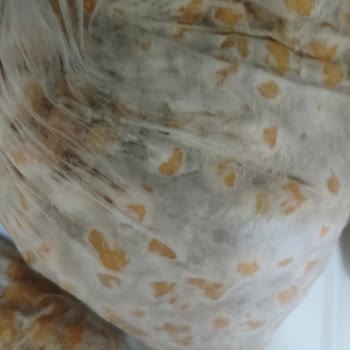 Beko Dondurucu Ses Karlanma İade İsteği