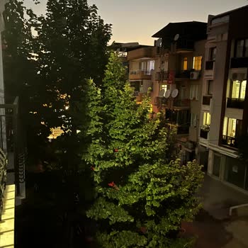 Gediz Elektrik Perakende İzmir Buca 266 Sokak Aydınlatma Sorunu