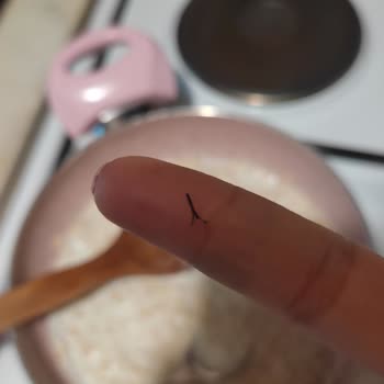 A101 Burch Yulaf Ezmesinden Siyah Plastik Parça Çıktı