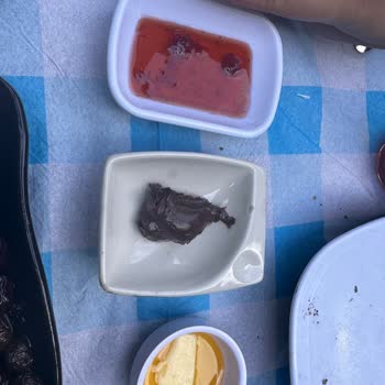 Sapanca River / Sapanca Paradise