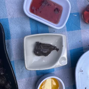 Sapanca River / Sapanca Paradise