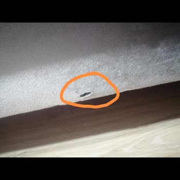 Hanedan Mobilya (Eskidji Bazaar) Yeni Aldığımız Oturma Grubunun Teşhir Gönderilmesi