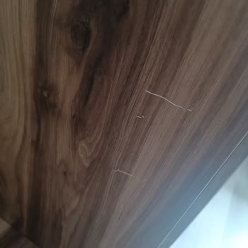 Bulutsoy Nakliyat Şikayeti